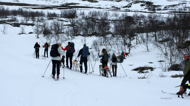 Vårsamling på Lesja og Dovre Fuglehundskole