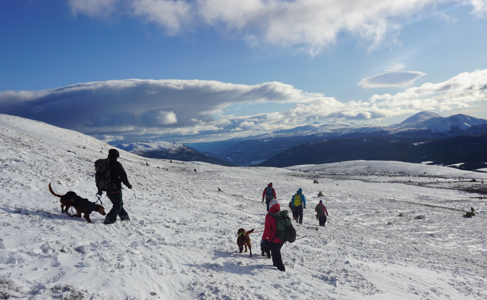 Sjodalsprøven Vinter 2018